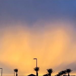 Meet your Posher, Dav